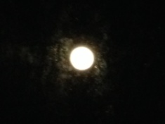 ￼￼kayla_parker_moon1_15_04_04