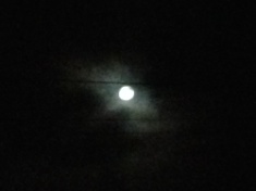 ￼￼kayla_parker_moon1_15_05_05