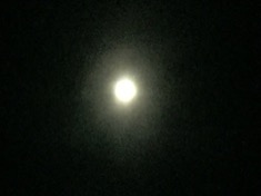 ￼￼kayla_parker_moon1_17_02_11