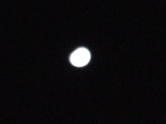 ￼￼kayla_parker_moon2_15_03_24