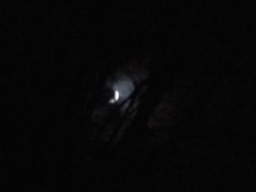 ￼￼kayla_parker_moon2_15_11_17