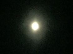 ￼￼kayla_parker_moon2_17_02_11