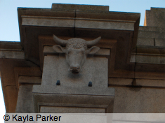 photo of carving of horned cattle head, left side of entrance to Royal William Yard