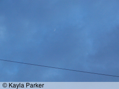Kayla's photo of the new crescent moon, keeps disappearing into a swirl of cloud from the west