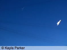 Kayla's photo of the new moon with Jupiter