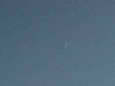 Second photo of new moon, taken by front gate